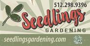 Seedlings Gardening